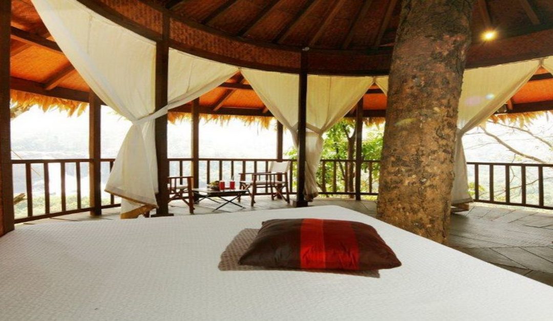 Rainforest Athirapally Kerala