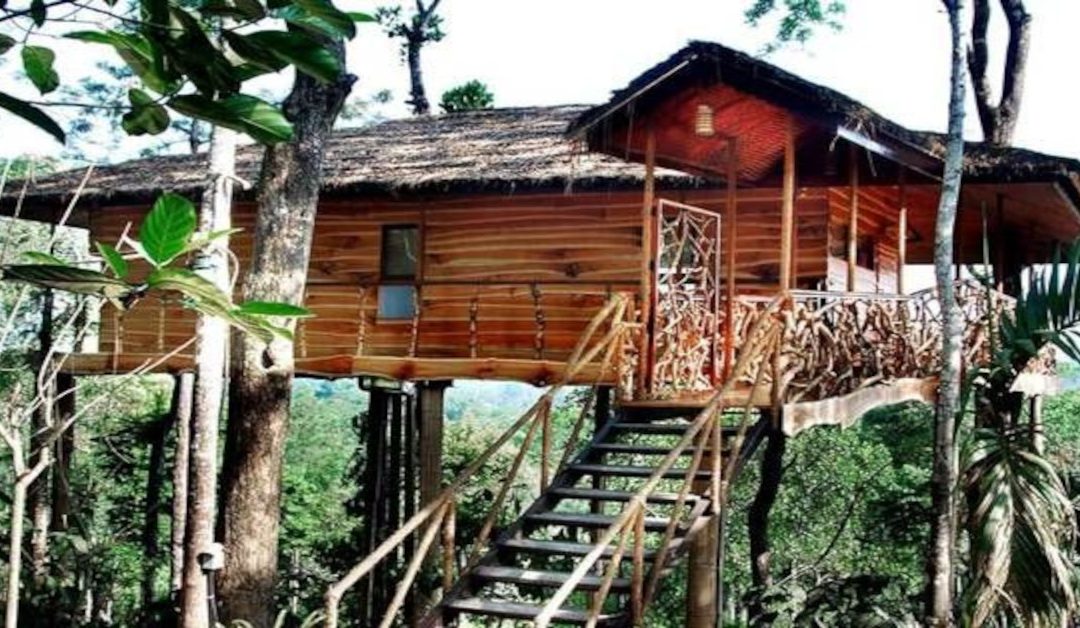 Tranquil Resort in Wayanad