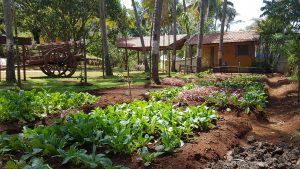 Landwirtschaft At Devaaya Retreat Goa