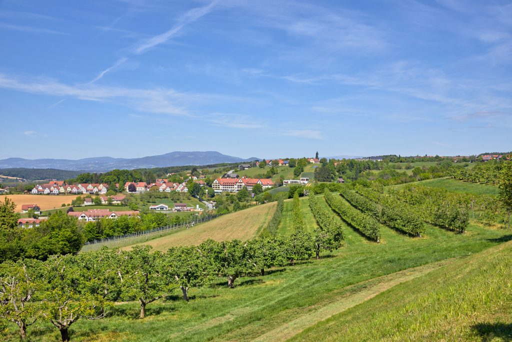 European Ayurveda Resort Mandira