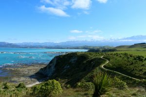 Landschaft am Meer in Kaikoura