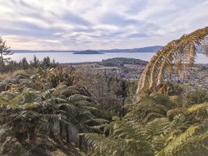 Blick auf Fairy Springs und Lake Rotorua