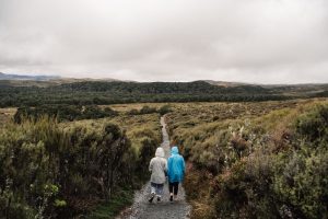 Wanderer im Tongario Nationalpark