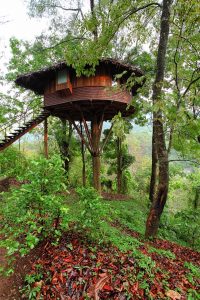 Baumhaus Aussenansicht Rainforest Athirapally