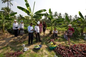 Gemüsegarten Tour Neeleshwar Hermitage Ayurveda