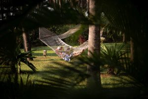 Lesepause Ayurveda Reise Indien