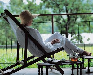 Teatime PlanReisen Rainforrest Athirapally