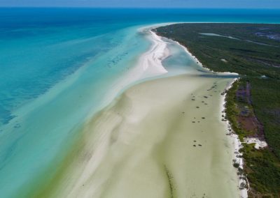Sea Beach