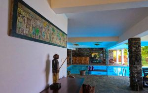 Art and Pool Thaulle